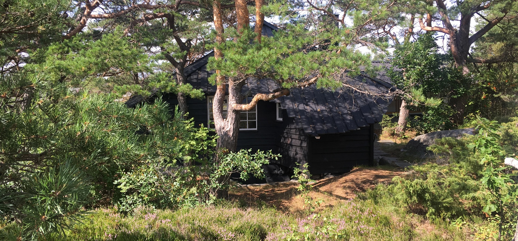 Foto: Hanne Ødesneltvedt