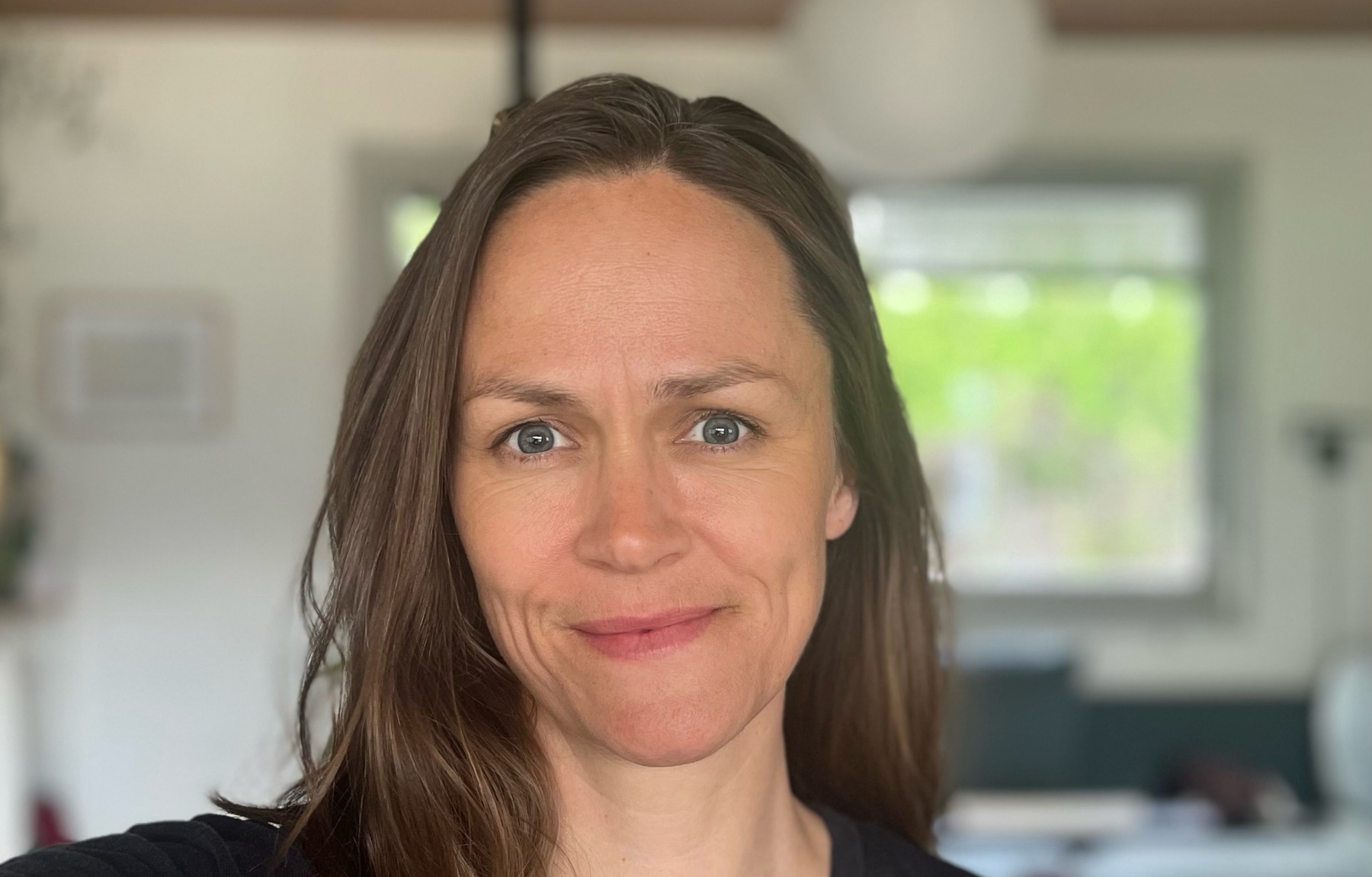 Lise Fadnes, Sogn og Fjordane arkitektlag