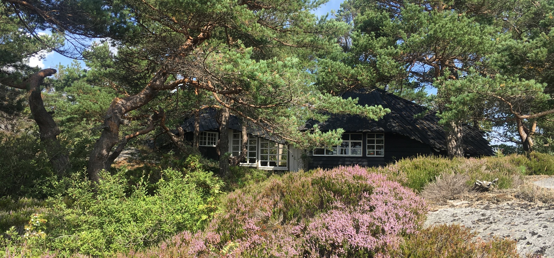 Foto: Hanne Ødesneltvedt
