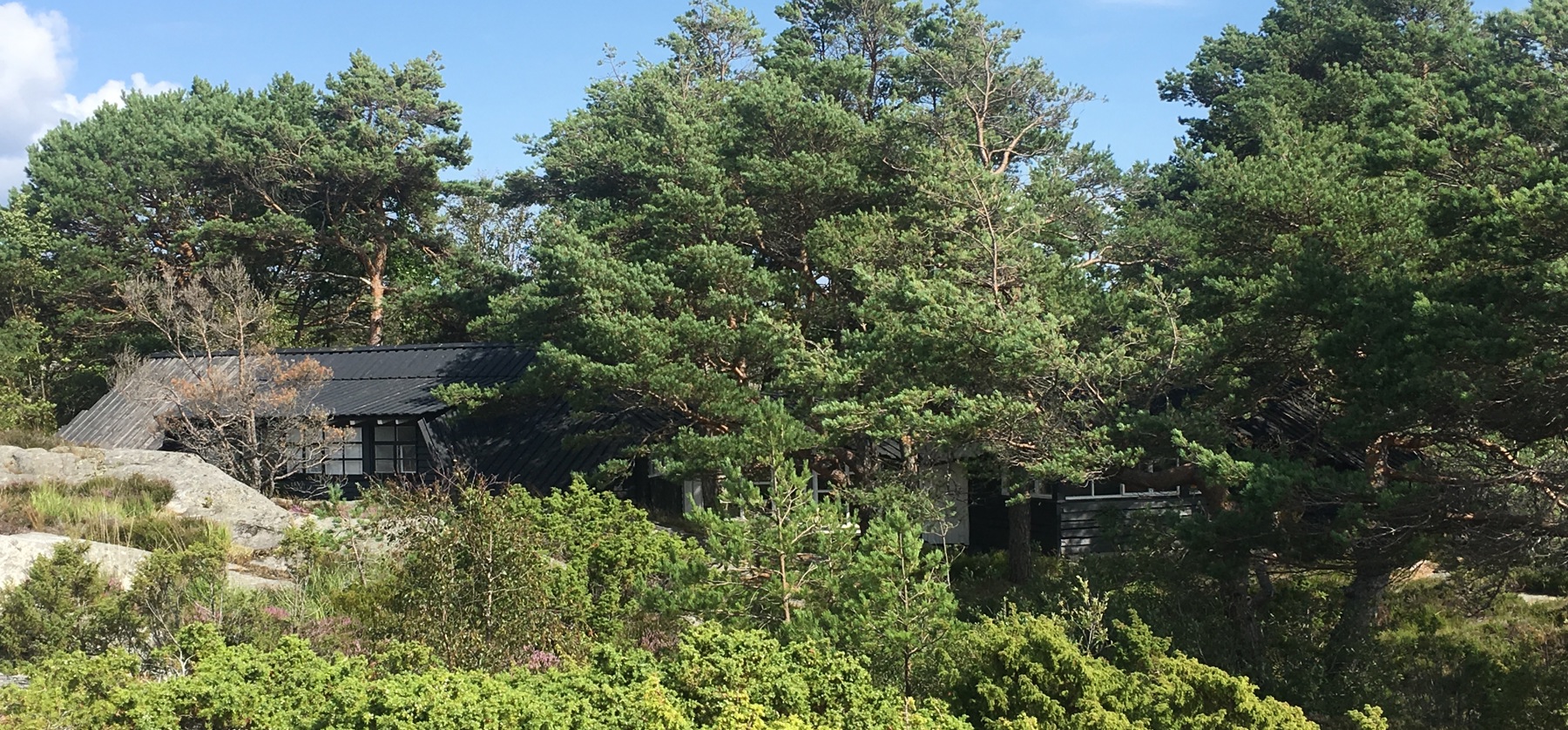 Foto: Hanne Ødesneltvedt