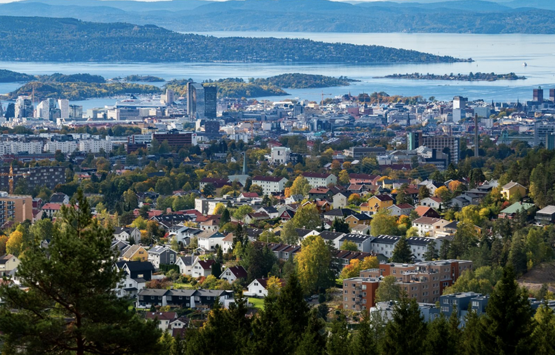 Foto: Bymiljøetaten i Oslo